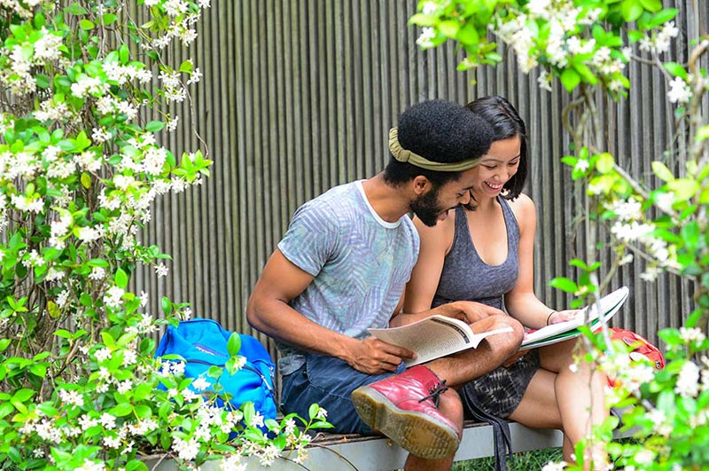 Students studying in LBC garden