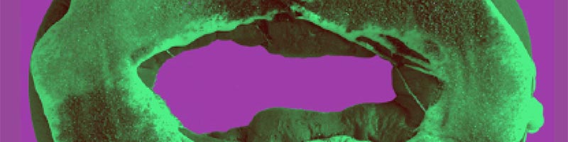 kingcake