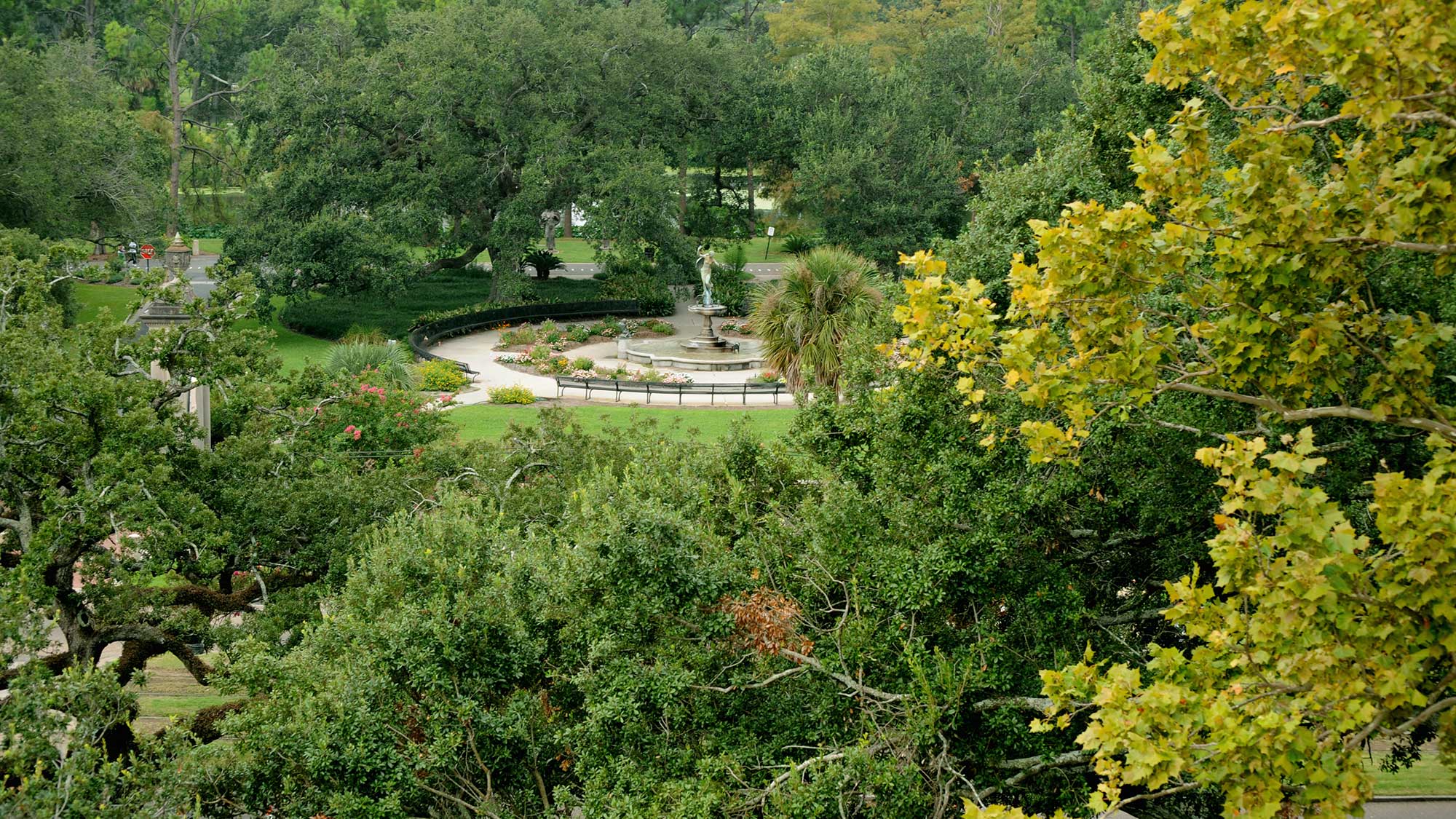 The view from Gibson Hall