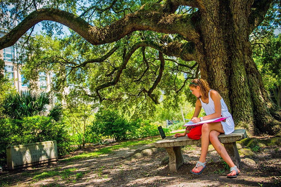 Tulane student studies under Live Oak tree